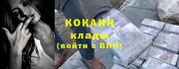 прущие крисы Чекалин