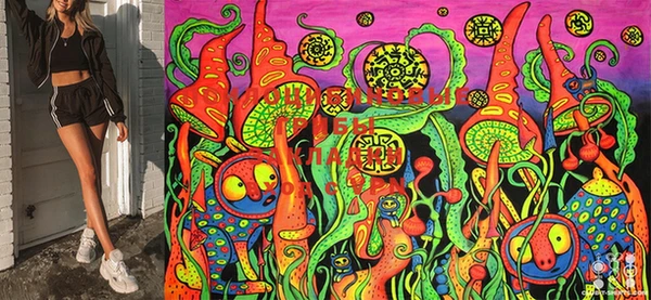 а пвп мука Чердынь