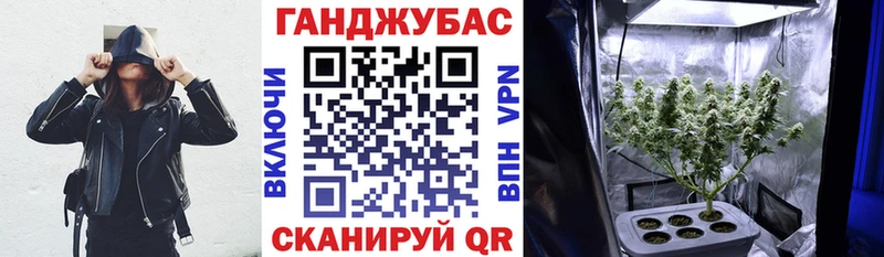 Канабис гибрид  Купить закладки  Оса 